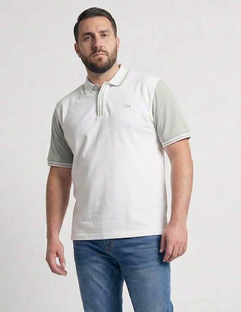 Playera tipo polo Ferrioni para hombre