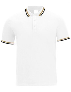 Playera tipo polo Roosevelt para hombre