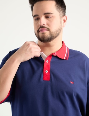 Playera tipo polo Ferrioni para hombre