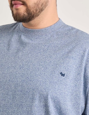 Playera Ferrioni cuello redondo para hombre