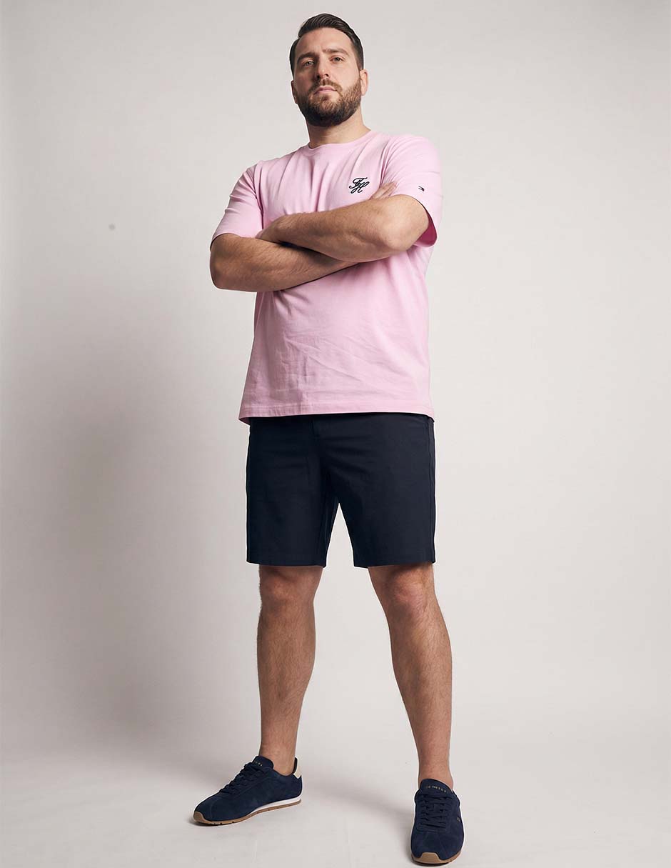 Playera Hilfiger cuello redondo para hombre 3